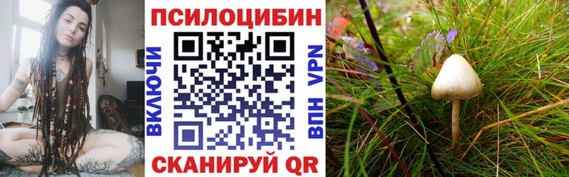 Псилоцибиновые грибы Cubensis Купить Николаевск